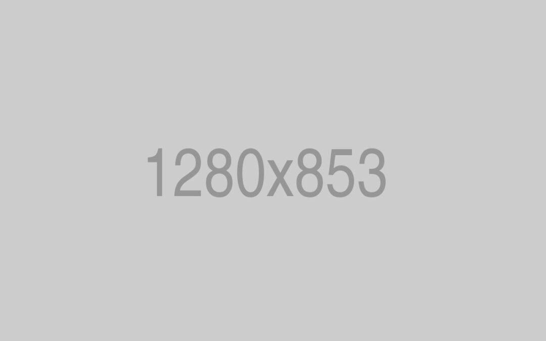 BMW Engine Repairing 6